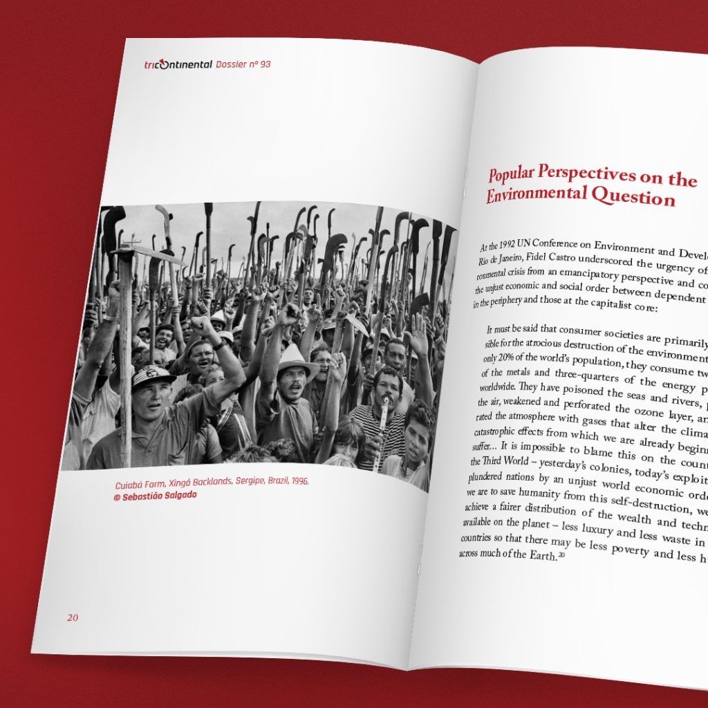 Illustration of Tricontinental dossier no 93 The Environmental Crisis Is a Capitalist Crisis